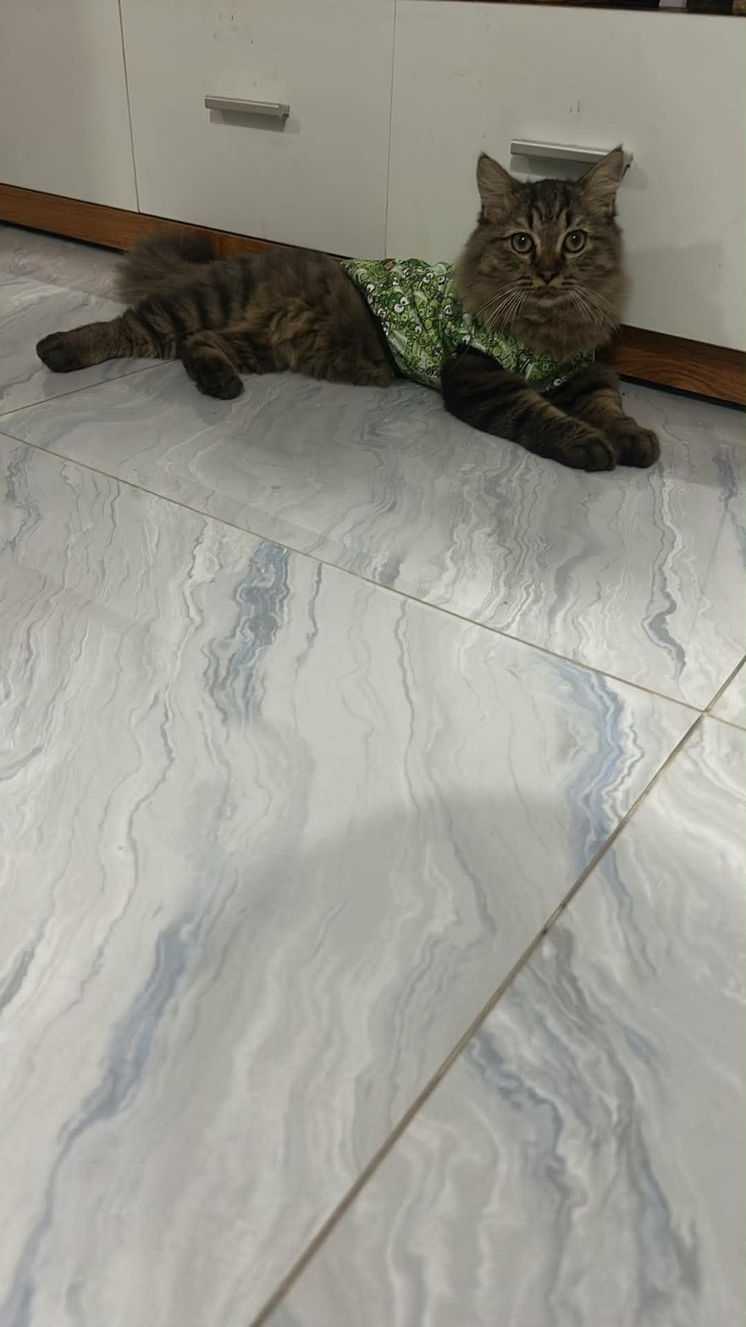 Nhu Nhi đang trực ca ở 1M65